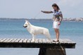 /album/kepgaleria-doux-of-ice-wine/pag-2-175-jpg/